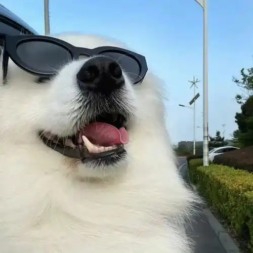 学员头像